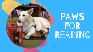 Paws for Reading: Read to a Library Dog! @ Brentwood Public Library