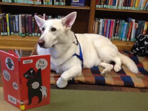 PAWS for Reading @ Brentwood Public Library | Brentwood | Missouri | United States