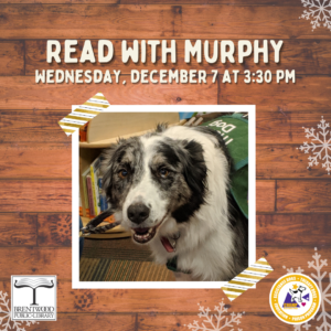 Meet Murphy the Reading Dog