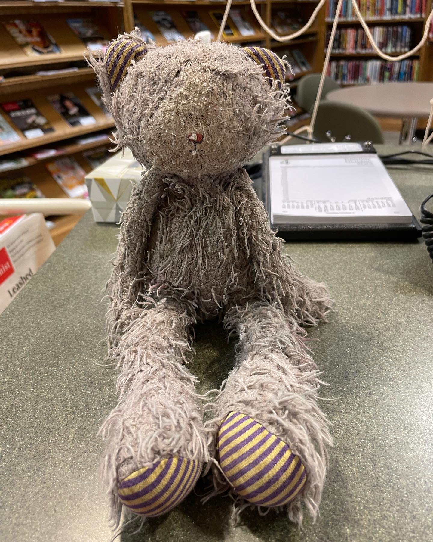 Did you leave a sweet kitty lovey in the children’s room today? She/he is waiting patiently at the front desk!