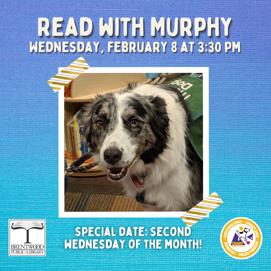 Murphy is a therapy dog from @champassistancedogs! He loves to listen to you read and loves meeting new friends. Stop by and say hello to Murphy! No sign-up is required.