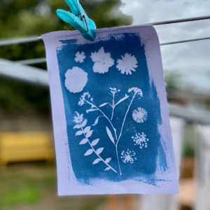 DIY Cyanotypes - Kids