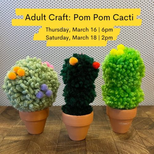 Adult Craft: Pom Pom Cacti