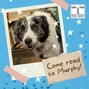 Meet Murphy the Reading Dog