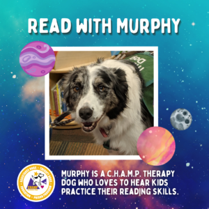 Read with Murphy, a therapy dog from C.H.A.M.P.