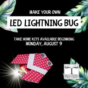 Take Home Kit: LED Lightning Bug