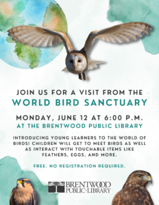 Visit from the World Bird Sanctuary